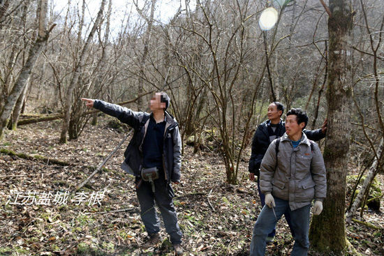 2013年3月4日，陜西省安康市鎮(zhèn)坪縣，隨周正龍上山人員研究尋虎方案。李根/CFP