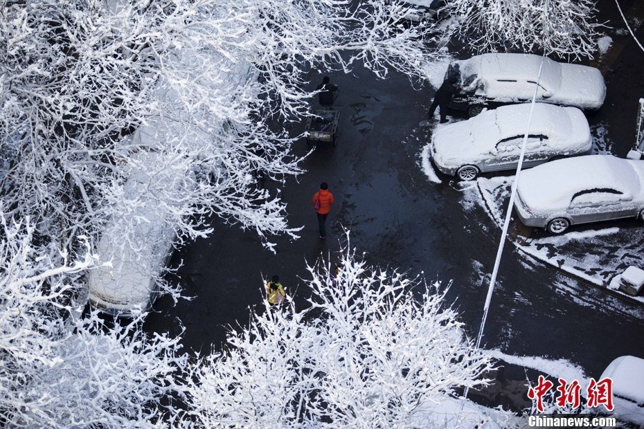 2013年3月20日早晨，降雪后的北京，全城銀裝素裹