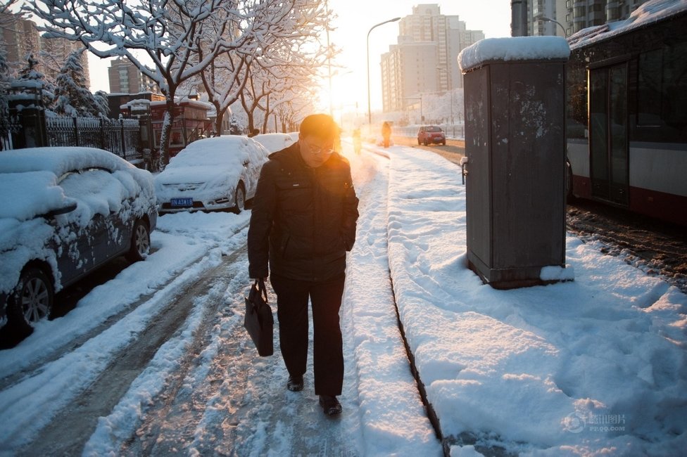 2013年3月20日早晨，降雪后的北京，全城銀裝素裹