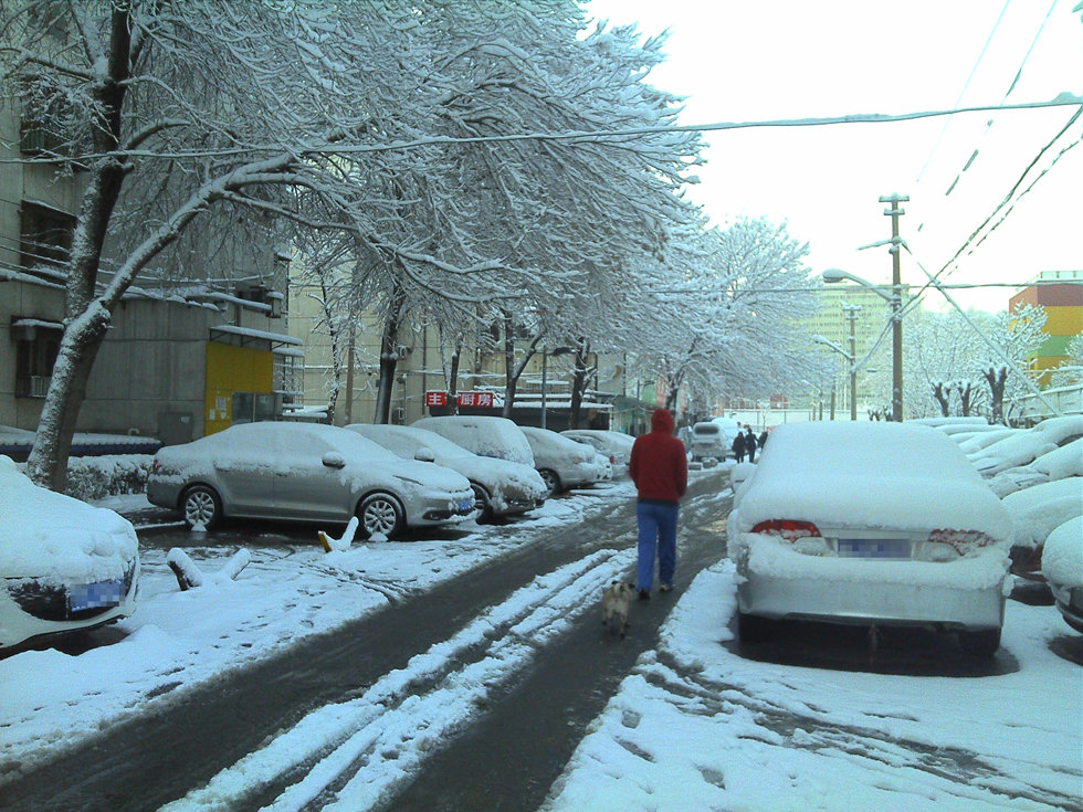 2013年3月20日早晨，降雪后的北京，全城銀裝素裹