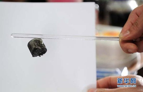 中國浙江大學(xué)制造出世界最輕材料