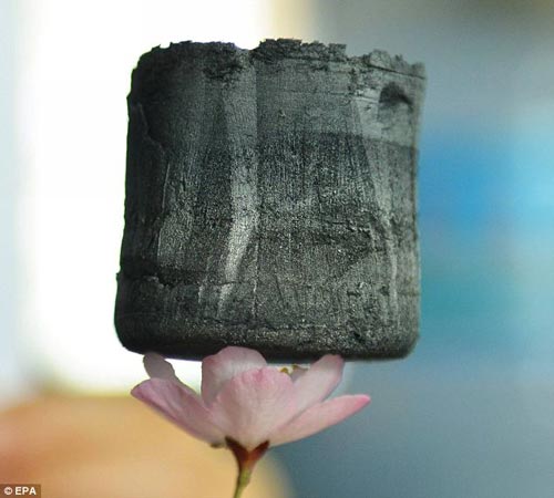 由浙江大學(xué)教授開發(fā)的石墨稀氣凝膠體，可可穩(wěn)穩(wěn)地立于一朵花的花瓣上。