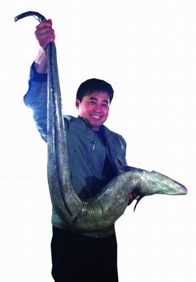 鰻魚王長1.5米重25斤售價(jià)1200元