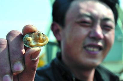 別看個(gè)頭小，但是里面很肥