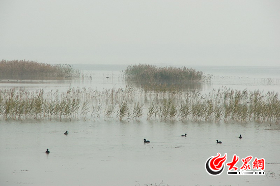 峽山湖國(guó)家濕地公園注重對(duì)自然環(huán)境的保護(hù)，公園的生物多樣性十分豐富，是我國(guó)內(nèi)陸候鳥(niǎo)遷徙通道上的重要驛站和棲息地