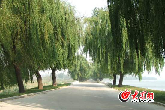 峽山湖國(guó)家濕地公園的環(huán)湖公路。