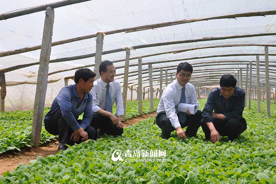 省農村信用聯(lián)社：服務三農 打造普惠金融(圖)